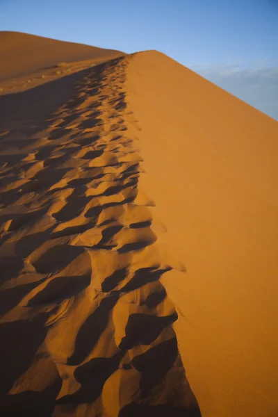 Песчаная пустыня с дюнами в Марокко, Мерзуга — стоковое фото