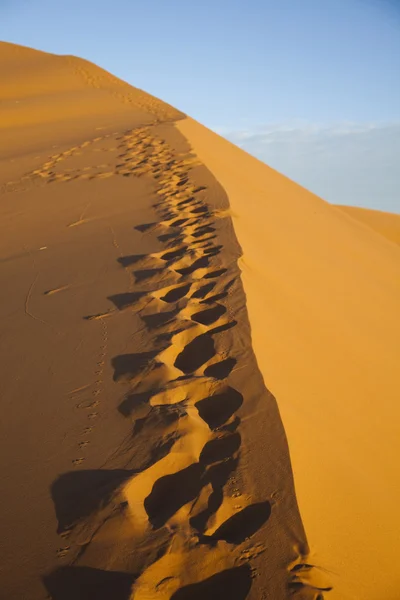 Sandöknen med sanddyner i Marocko, merzouga — Stockfoto