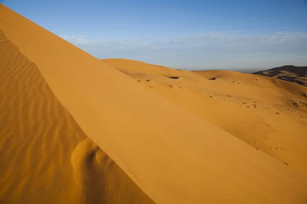 摩洛哥沙漠沙丘，梅尔祖加 — 图库照片