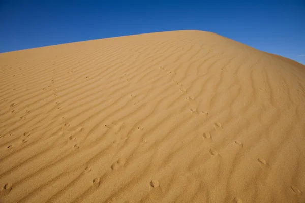 Paisaje del desierto —  Fotos de Stock