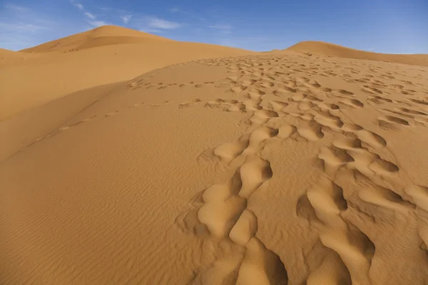 Marokkanische Wüstendüne, merzouga — Stockfoto