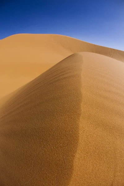 Пейзаж пустыни — стоковое фото