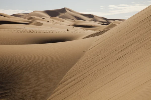 Marocký pouštní Duna, merzouga — Stock fotografie