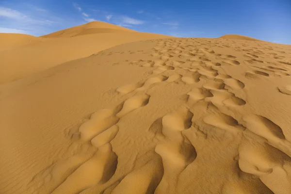 モロッコの砂漠の砂丘、メルズーガ — ストック写真