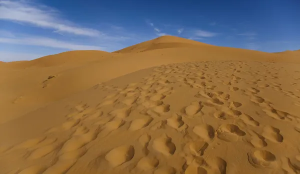 Dune du désert marocain, merzouga — Photo