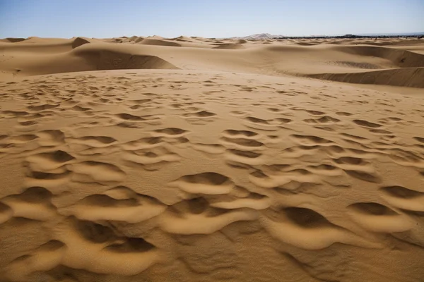 Krajina pouště — Stock fotografie