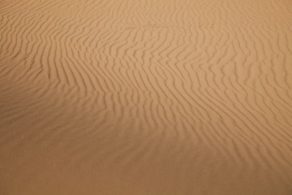 Moroccan desert dune, merzouga — Stock Photo, Image