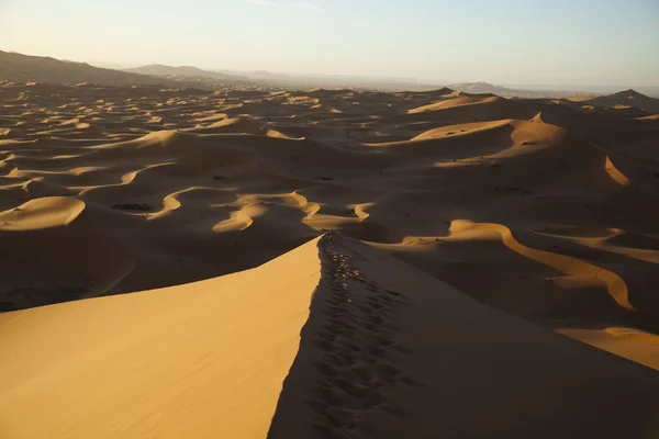Sahara çöl, merzouga — Stok fotoğraf