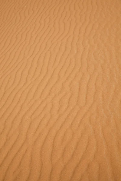 stock image Sand Desert with Dunes in Marocco, merzouga