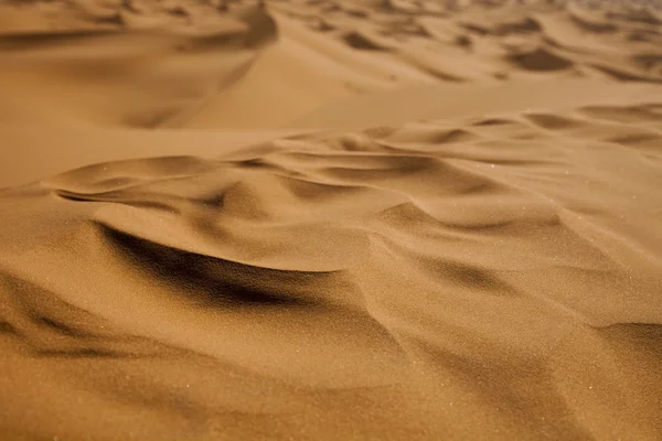Kum çöl dunes içinde marocco, merzouga ile — Stok fotoğraf