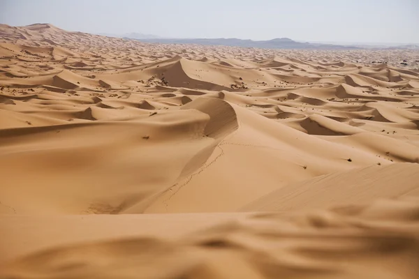 Пустеля Сахара, merzouga — стокове фото