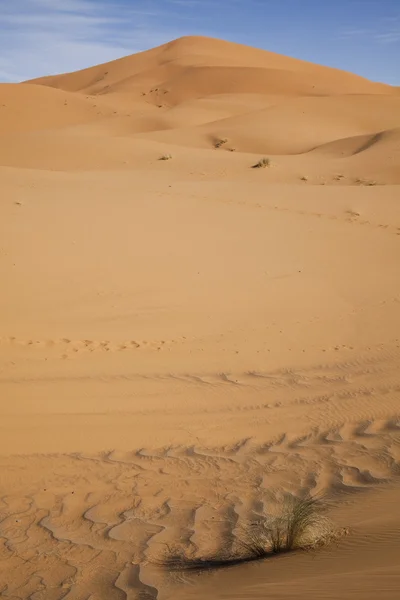 Duna del desierto marroquí, merzouga —  Fotos de Stock