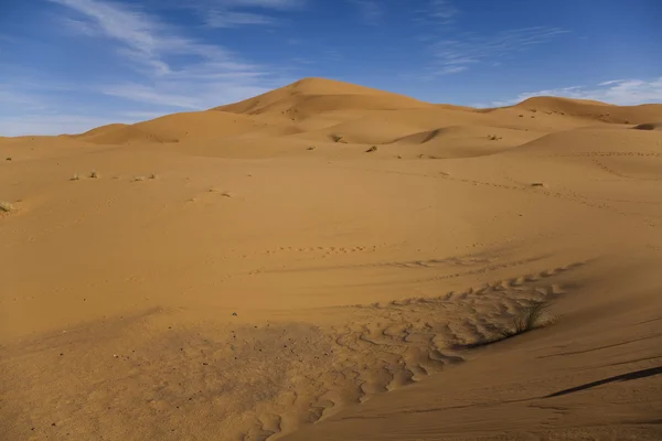 Марокканская пустынная дюна — стоковое фото