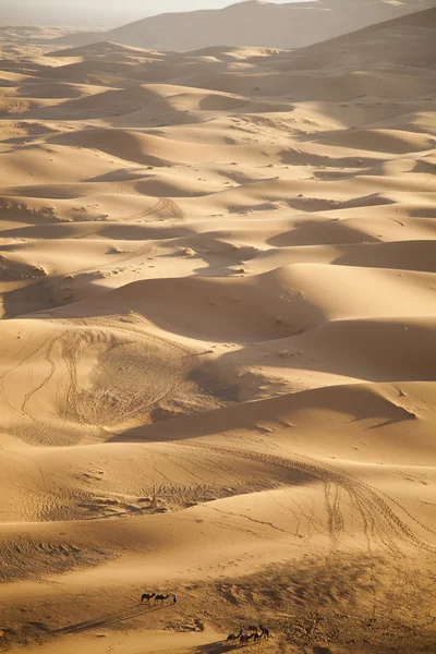 Дюни в марокканському Сахарі — стокове фото