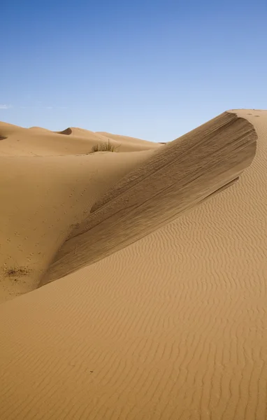 摩洛哥撒哈拉的沙丘 — 图库照片