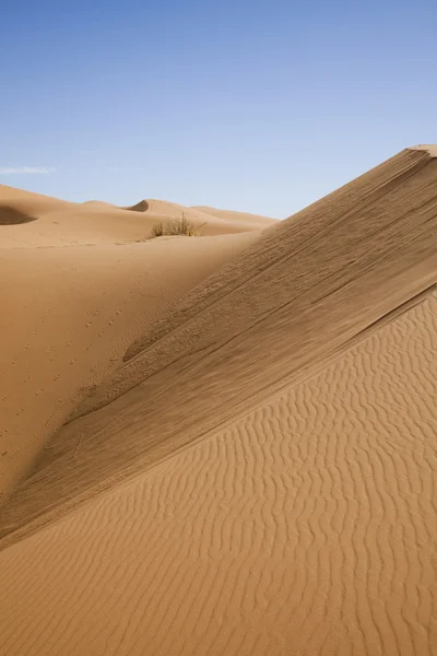 Марокканської пустелі dune, merzouga — стокове фото