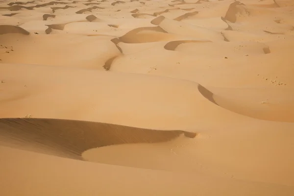 Marokkói sivatag dune, merzouga — Stock Fotó