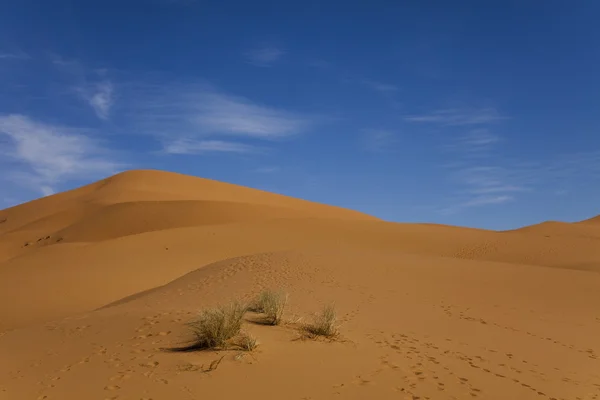 Dunes in Moroccan Sahara — Stock Photo, Image