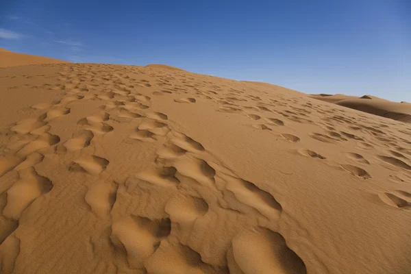 Έρημο τοπίο, Μερζούγκα, Μαρόκο — Φωτογραφία Αρχείου