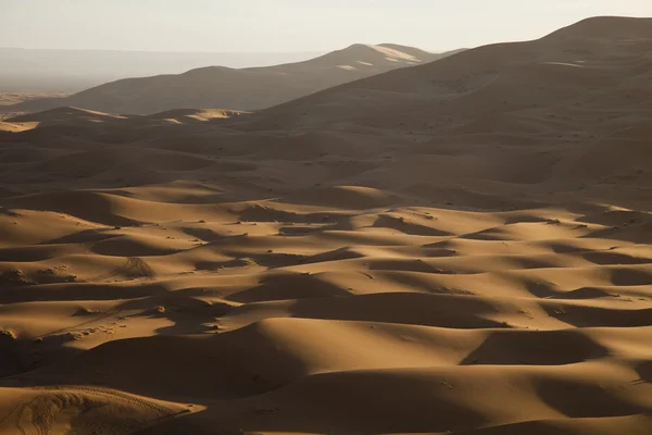 stock image Dunes in Moroccan Sahara