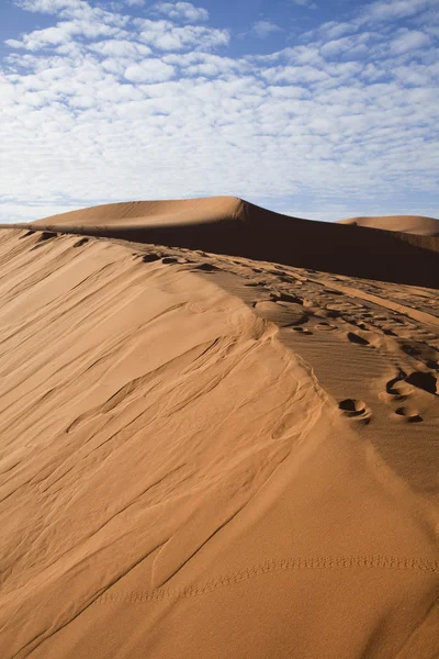 Desert landscape, merzouga, marocco — Stock Photo, Image