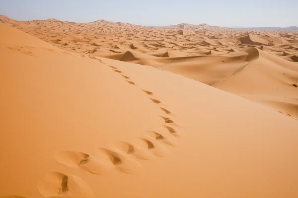 Paisaje del desierto, merzouga, marocco — Foto de Stock