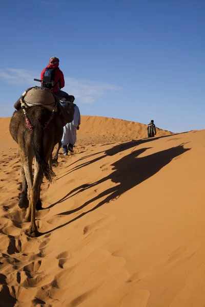 Dunas en Sahara Marroquí — Foto de Stock
