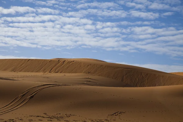 Öknens sanddyner i Marocko — Stockfoto