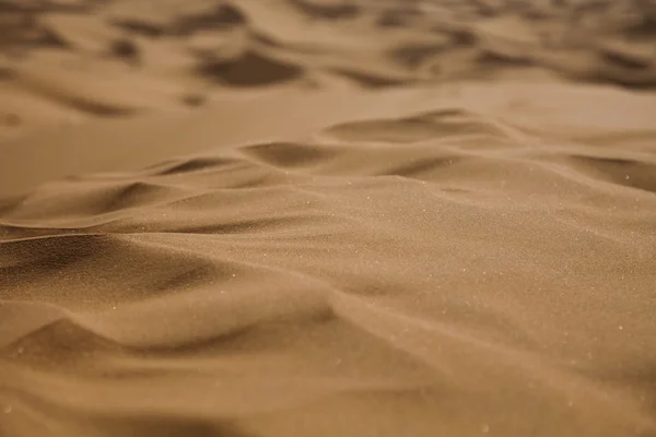 Марокканської пустелі dune, merzouga Ліцензійні Стокові Зображення