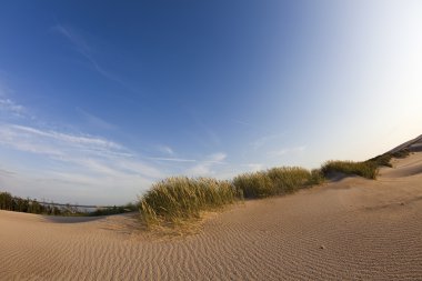 çöl dunes