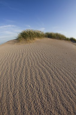 çöl dunes