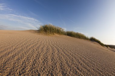 çöl dunes