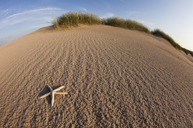 çöl dunes