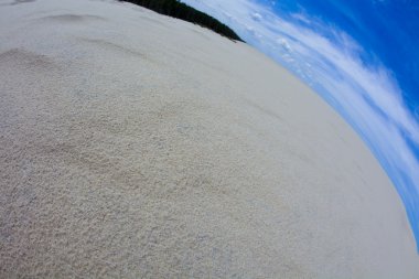 çöl dunes