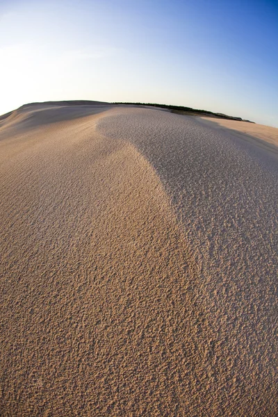 Desert dunes — Stock Photo, Image