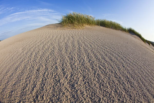 stock image Desert dunes