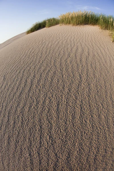 사막 모래 언덕 — 스톡 사진