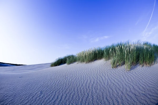 Zandlandschappen in de woestijn — Stockfoto