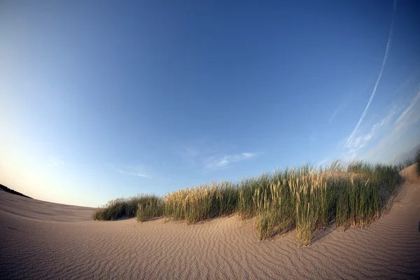 Zandlandschappen in de woestijn — Stockfoto