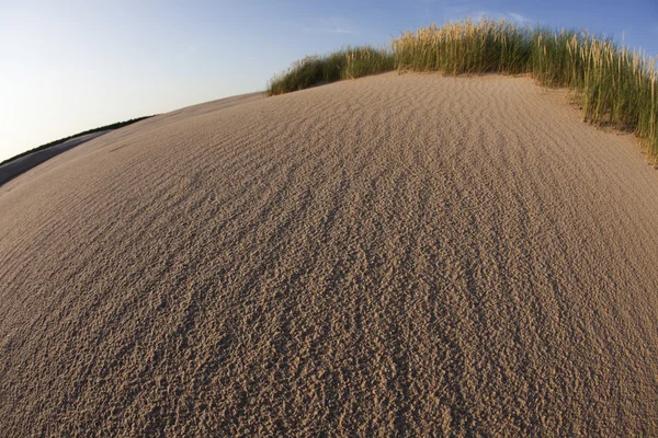 Paysages de sable dans le désert — Photo