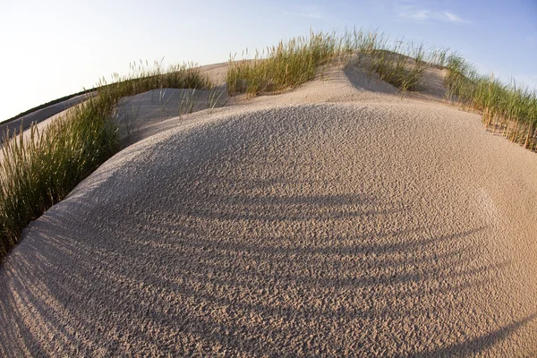 Sandlandschaften in der Wüste — Stockfoto