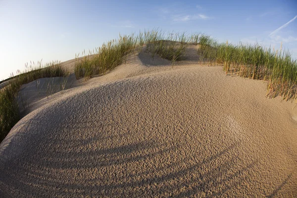 Sandlandschaften in der Wüste — Stockfoto