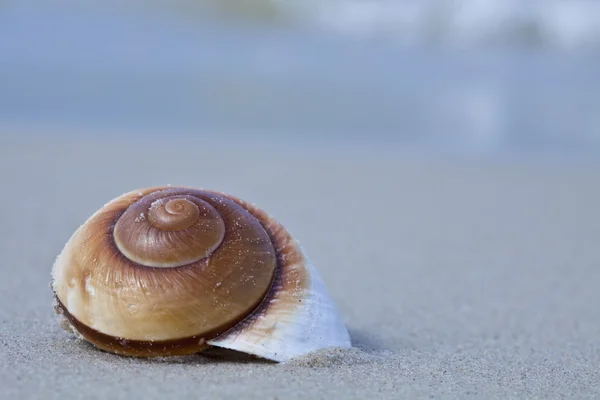 stock image Sea background