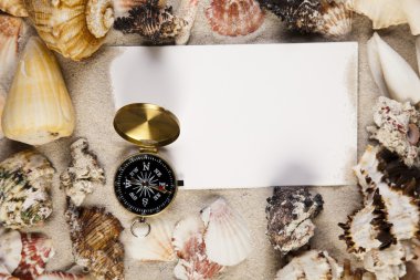 Messages between sands and shells clipart