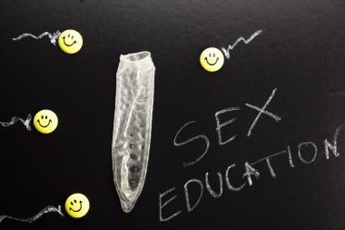 School sex education