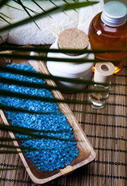 sağlıklı yaşam ve spa konsept