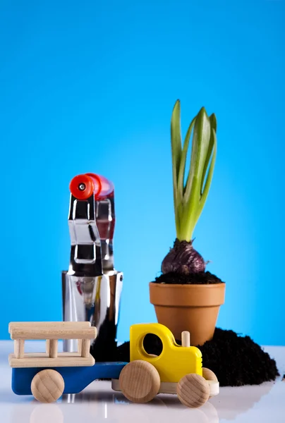 Plant en tuin — Stockfoto