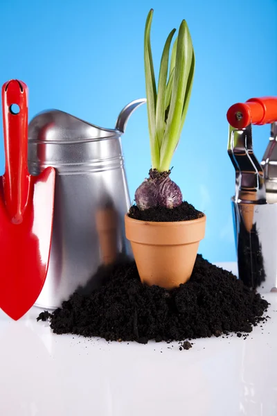 Trädgårdsarbete verktyg — Stockfoto