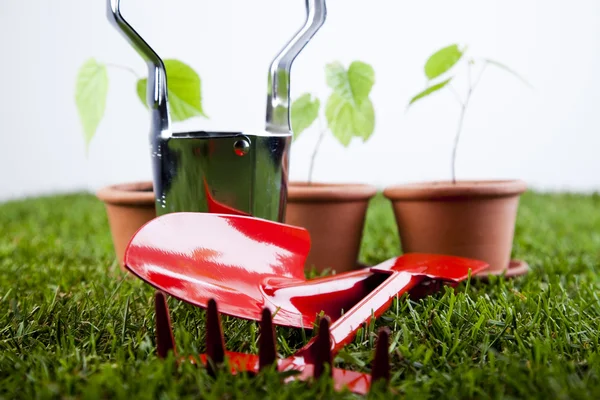 Sada zahradních nástrojů — Stock fotografie
