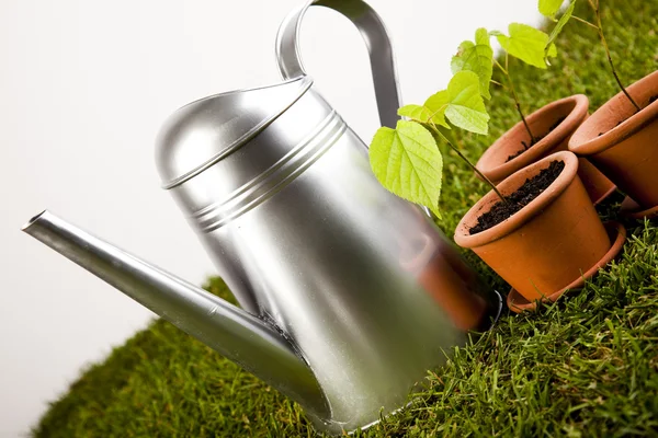 stock image Gardening concept